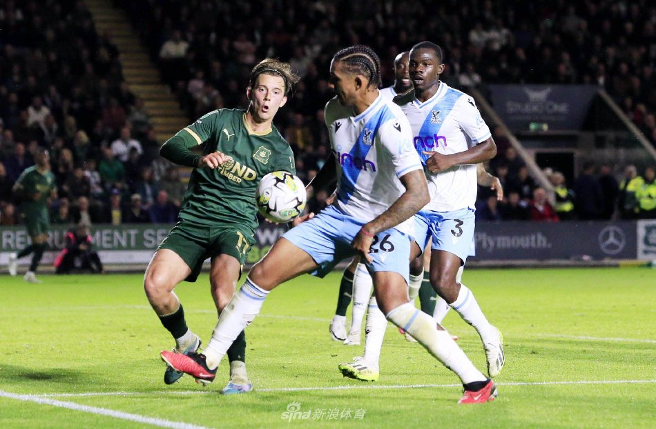 着郑钦文的 着郑钦文的